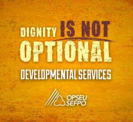 Dignity is not optional - OPSEU Developmental Services logo