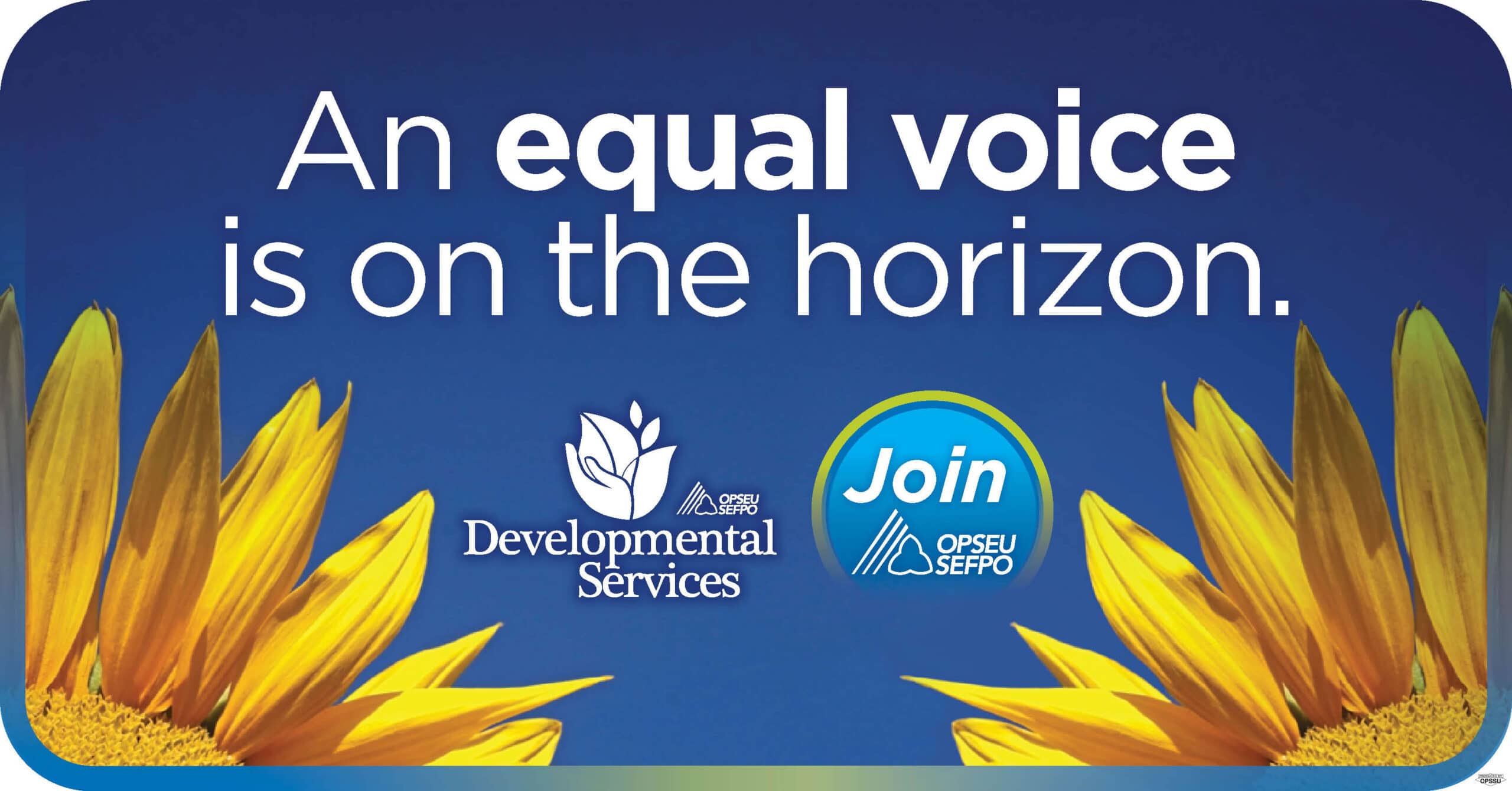 Developmental Services: An equal voice is on the horizon